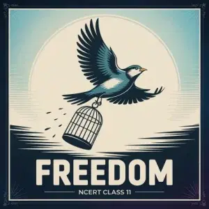 Freedom